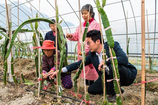 ˵��: 8.פ��ͷ���һ����޾�Ԫָ��ũ����ֲ������